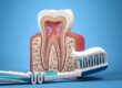 La relación entre la boca y el cuerpo: por qué la salud bucodental va más allá de los dientes